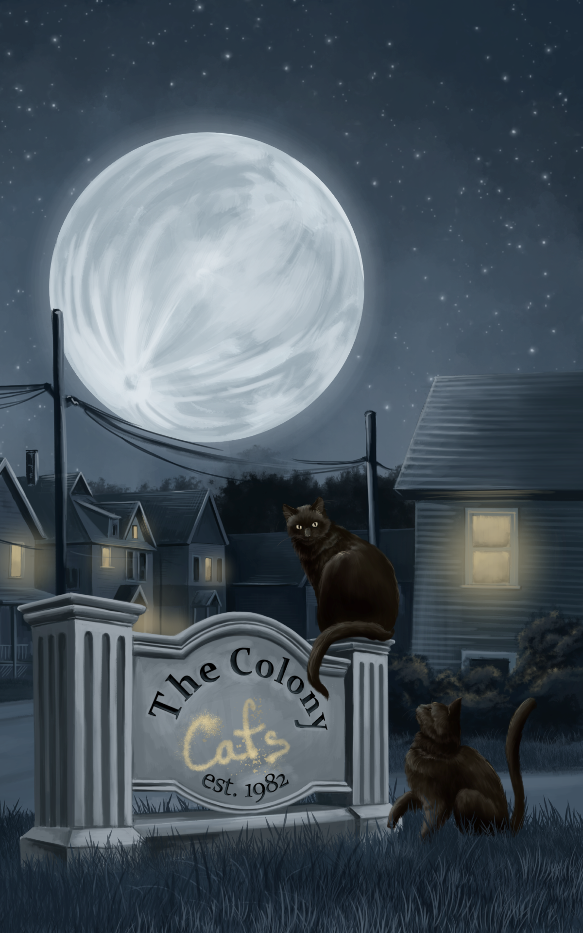 The Colony Cats Cover